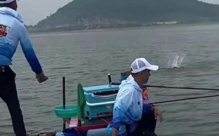 河里钓大鱼视频