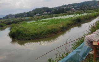 大学城附近钓龙虾的地方