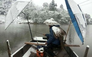 怎么看鱼吃没吃钩