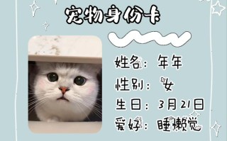 宠物卡是什么意思
