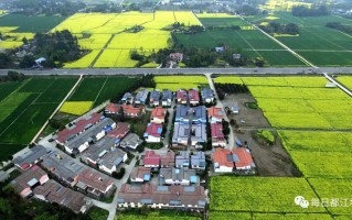 杭州小学教师骚扰多名初中生被停职，事件反思与教育伦理的重建