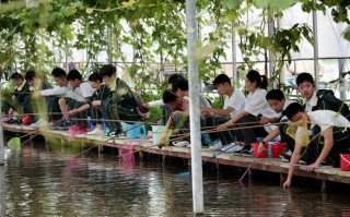 可以钓小龙虾的农家乐