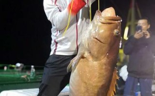 深海垂钓大师