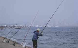 垂钓江边一个正确生肖