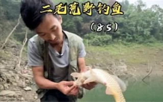 二毛荒野垂钓最新视频
