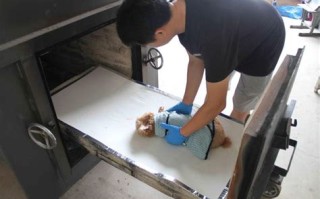 赣州佳佳宠物火化服务