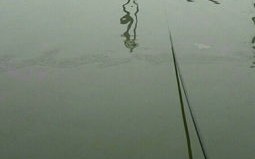 泰州哪里钓鱼