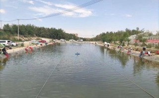 涿州垂钓地点推荐