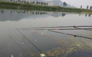 唐河那个地方野钓好