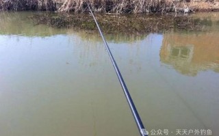 早春垂钓晚上的技巧和注意事项