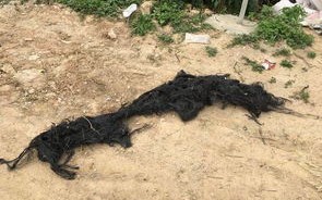 不可以在高压线下垂钓
