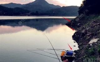 沅陵休闲垂钓指南