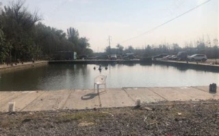 东营河口区海边路亚鱼种