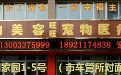 佩森宠物医院：关爱宠物健康，提供专业医护服务