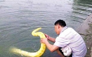 宠物游泳馆