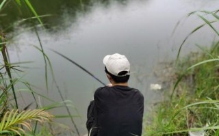 野外垂钓的意义与作用