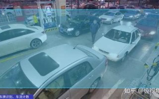宠物助力加油视频