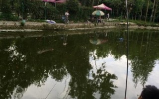 双流野钓