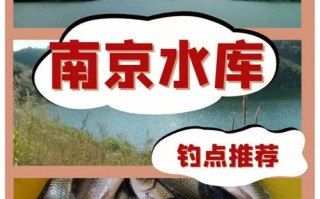 南京金港垂钓园在哪里