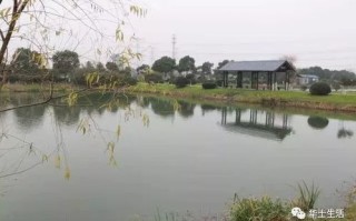 农庄式休闲垂钓经营管理
