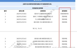 武汉大数据征信机构概述
