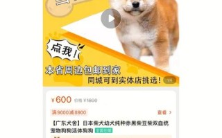 兔子怎么卖赚钱