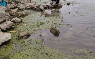 如何在阜阳进行垂钓