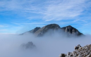 王志安最新动态，引领变革风潮，影响你我生活