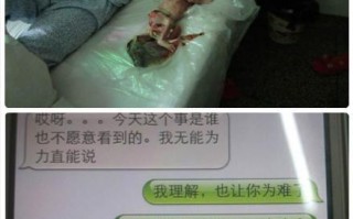 八个月婴幼儿的发育