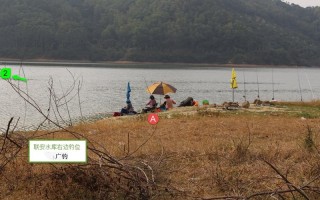 广州周边野钓