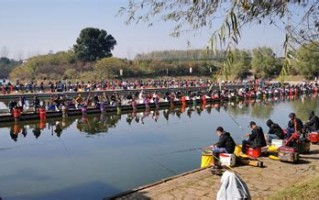 县域休闲垂钓：促进地方经济发展与生态保护的可持续路径