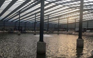 南宁垂钓温室大棚出租