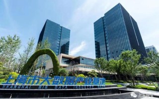 品牌大数据开发公司：专业解析
