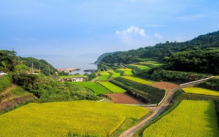 战旗论坛(乡村振兴探路者论坛第三期｜战旗实践—整合土地资源 经营村庄)
