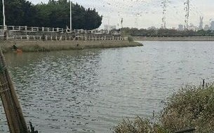 周边垂钓地址
