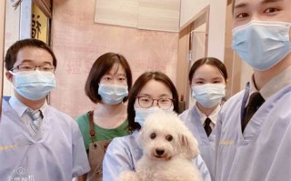 大良立德宠物医院怎么样