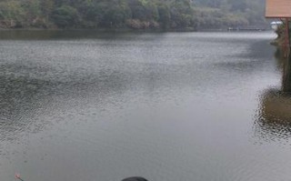 野钓山体水库