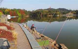 饥荒如何刷屎