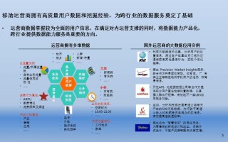 征信大数据什么意思
