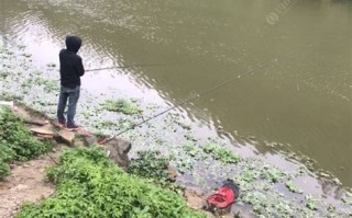 关于眉县免费垂钓的相关信息