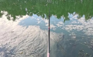 垂钓：放松身心，享受天然乐趣