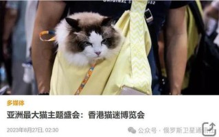 饲养宠物需要具备哪些条件
