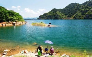南县禁钓范围