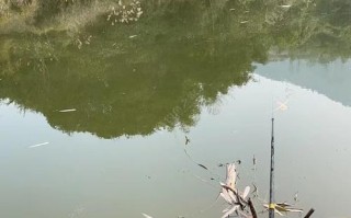 巴南石岗村