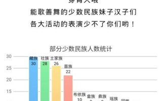 2020年大学生新生人数