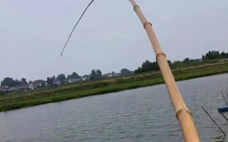 重庆人会游泳吗