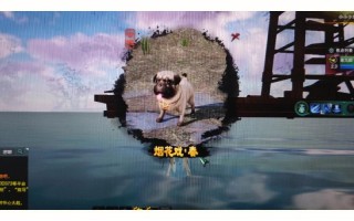 剑网三怎么让宠物出行