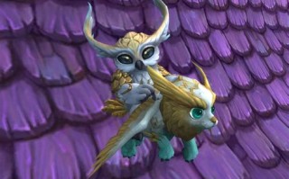 wlk魔兽世界小宠物收集攻略