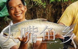 合肥北城龙虾垂钓基地电话号码