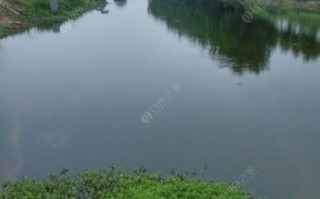 新郑龙湖附近钓鱼水库